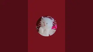 Kitty's Vlog  is live!