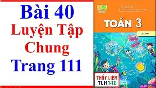Toán Lớp 3 Bài 40 | Luyện Tập Chung | Trang 111 | Kết Nối Tri Thức