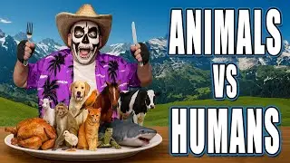 How Many Animals Humans Eat Every Year / The Dead Skeleton Investigates!