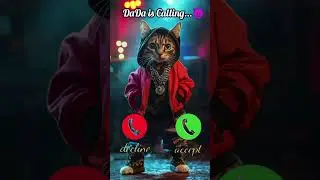 DaDa is calling Cute cat video #funny #cat #catlover #video