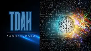TDAH ou Simple Distraction ? La Science Donne la R&eacute;ponse