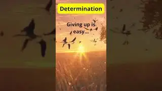 #driventosucceed  #UnstoppableDetermination #powerofpersistence