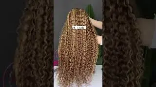 Labhairs 5*5 Undetectable Top Swiss HD Lace Ombre Honey Blonde Bouncy Curly Wig #hdlace#ombrewig