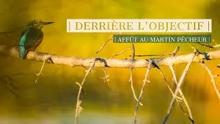 AFF&Ucirc;T MARTIN-P&Ecirc;CHEUR | DERRI&Egrave;RE L'OBJECTIF #1 (PHOTO ANIMALI&Egrave;RE)