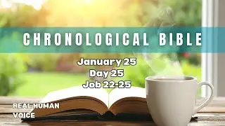 January 25 Day 25 Daily Chronological Bible Reading Job 22-25