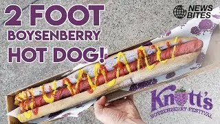 EATING A 2-FOOT BOYSENBERRY HOT DOG!!! | News Bites