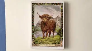 The Druid Animal Oracle | Flip Through