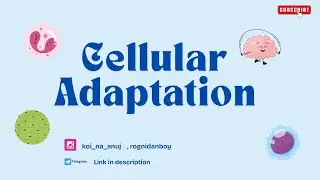 Cell Adaptation | Pathology | Hypertrophy | Hyperplasia | Metaplasia | Atrophy | Dysplasia |