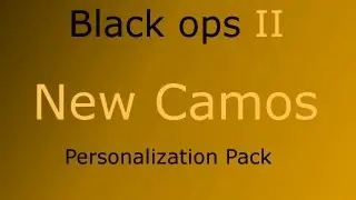 Black Ops 2 New Camos (Comics,Paladin,Dragon and Cybrog) Personalization Pack *NEW*