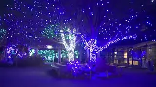 Denver Zoo Lights opens to general public Saturday