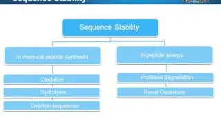 Peptide Design Strategy  Basics, Optimization, and Application