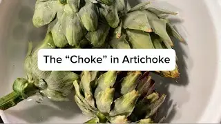 The 