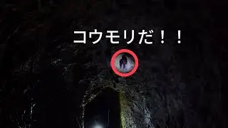 洞窟で宝石かもしれない石を見つけました