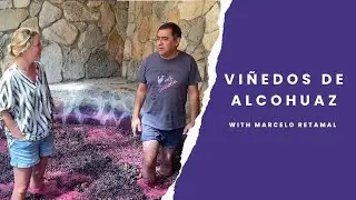 The art to Viñedos de Alcohuaz wines in Elqui with Marcelo Retamal