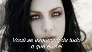 Taking Over Me-Evanescence (Tradu&ccedil;&atilde;o)