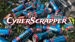 Collecting Aluminum Cans in the Woods // 4k Video