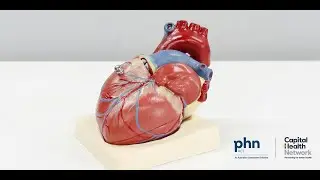 GP Management of Heart Rhythm Disorders