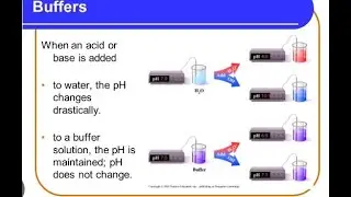 How Buffer Work to Stabilise  pH