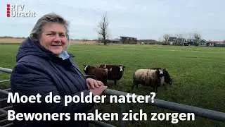 Mijdrechtse polder moet misschien onderlopen: 'De hele polder is in paniek' | RTV Utrecht