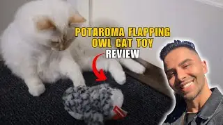 Potaroma Flapping Owl Cat Toy for Bored Cats,  Home Alone, Keep Them Busy!