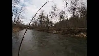 Winter Fly Fishing on NC Rivers