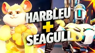 HARBLEU TRACER + SEAGULL HAMMOND! [ OVERWATCH 2 TOP 500 SEASON 3 ]