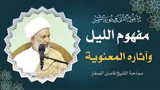 ما يقوله القرآن في سورة الشمس/ 30 - مفهوم الليل وآثاره المعنوية - سماحة الشيخ فاضل الصفار