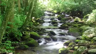 Calming Babbling Brook Sounds for Sleep, Relaxation & Rest (41+ Minutes)