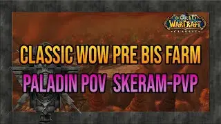 Lvl 60 Paladin - PRE BIS/GOLD FARM