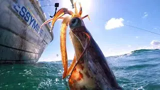 INSANE SQUID Fishing Honey Hole Catch n Cook with Milk