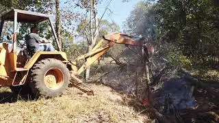 Cutting Down 3 trees into a Fire