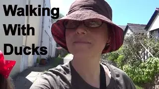 Walking With Ducks with Imo and Izzy