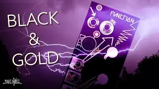Black & Gold Function! | Make Noise
