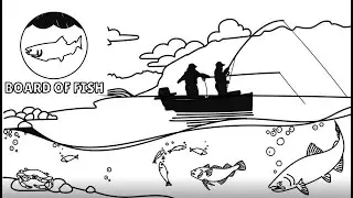 Introduction to the Board of Fish