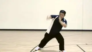 Sifu Liu Chan-i and Feeding Crane Kung Fu