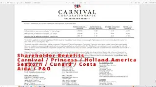 Cruise Stock Shareholder Benefit