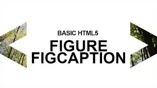 html5 figure, figcaption요소에 대해서