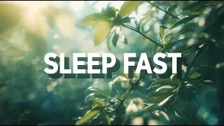 Fall Asleep Fast with Slow Motion Nature & Calm Relax Music