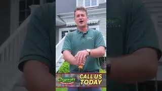 Installing a Quality Roof #construction #roofing #contractor #youtubeshorts