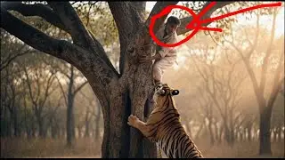 Garib Kisan ka history #AICartoon#AIVideo#AICartoonVideo#AIAnimation