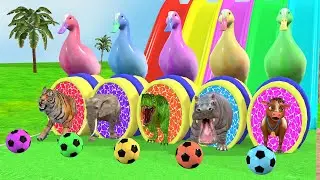Long Slide Game With Lion Cow Tiger Hippo Elephant Animals my cr | 3d Funny Animal Fountain Crossing