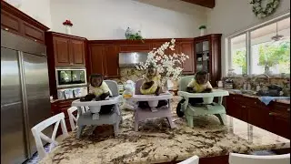 3 Monkeys sitting on their new eating chairs 😍 Toby, Angelika & Russel 