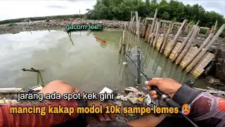 Gacorrr lee!! Cuma modal 10 ribu bisa mancing kakap putih puas 😱