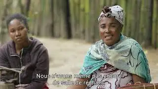 Restauration et conservation des écosystèmes côtiers et marins de Madagascar. Récif coraliens