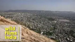 Top view of Jaipur city - Rajasthan