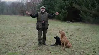 Jason Mayhew Gundogs