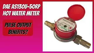 REVIEW (2026): DAE AS130U-50RP Hot Water Meter. Features