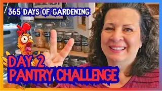 Homestead Pantry Challenge: Fast, Fresh Chicken Soup to Beat Cold & Flu Season!