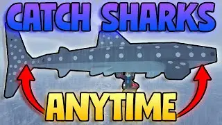 How To Catch EVERY Shark ANYTIME! Catch Great White Sharks, Whale Sharks, Great Hammerhead Shark!