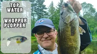 Pêche du Blackbass en TOP WATER avec le WHOPPER PLOPPER - Pêche au Québec